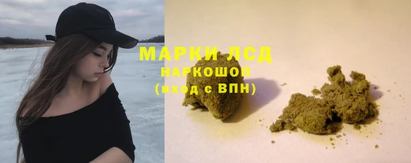 бошки Белокуриха