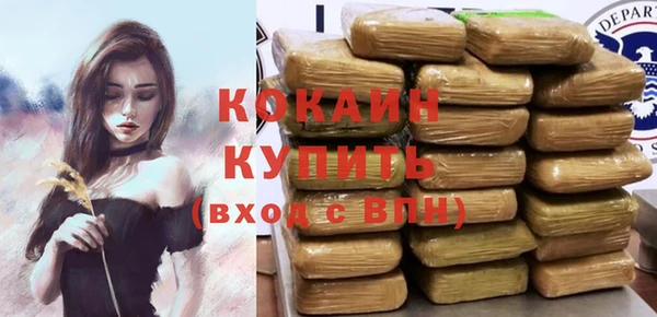 бошки Белокуриха