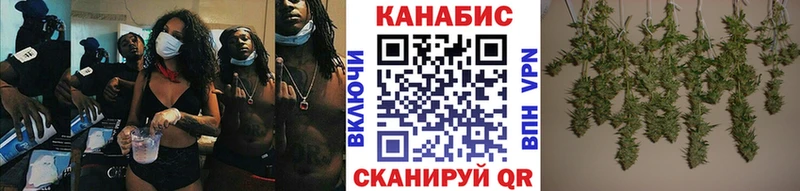 блэк спрут онион  Нестеров  МАРИХУАНА SATIVA & INDICA 